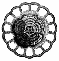 An illustration from The dictionary of needlework, an encyclopædia of artistic, plain, and fancy needlework, Church embroidery, lace, and ornamental needlework (1882)