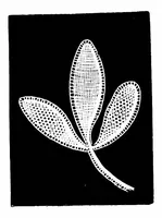 Picture 13 of 18 from The dictionary of needlework, an encyclopædia of artistic, plain, and fancy needlework, Church embroidery, lace, and ornamental needlework (1882), leaf 337