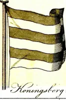 Picture 54 of 104 from A display of the naval flags of all nations (1820), leaf 22