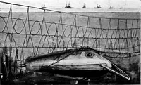 Picture 40 of 72 from The submarine in war and peace; its developments and its possibilities (1918), leaf 279