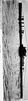 An illustration from The submarine in war and peace; its developments and its possibilities (1918)