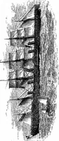 An illustration from The History of North Atlantic steam navigation with some account of early ships and shipowners (1896)