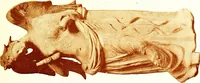 An illustration from Greek terracotta statuettes (1899)