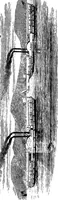 Picture 95 of 155 from A history of the growth of the steam-engine (1878), leaf 299