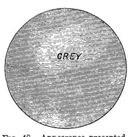 Picture 6 of 19 from Modern chromatics, with applications to art and industry (1879), leaf 140
