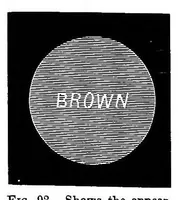 Picture 14 of 19 from Modern chromatics, with applications to art and industry (1879), leaf 221