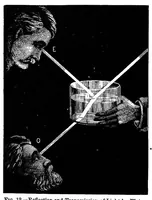 Picture 3 of 19 from Modern chromatics, with applications to art and industry (1879), leaf 63