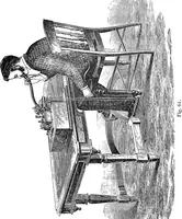 An illustration from Electricity in modern life (1890)