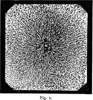 An illustration from Electricity in modern life (1890)