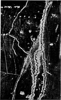 An illustration from Inventions of the great war (1919)