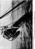Picture 80 of 94 from Inventions of the great war (1919), leaf 343