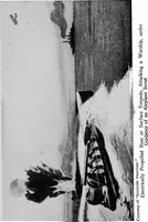 Picture 87 of 94 from Inventions of the great war (1919), leaf 380