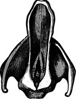 An illustration from The principles of physics (1895)