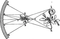 Picture 105 of 240 from The principles of physics (1895), leaf 362