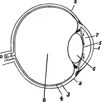 An illustration from The principles of physics (1895)