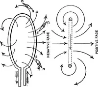 Picture 188 of 240 from The principles of physics (1895), leaf 558