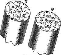 Picture 194 of 240 from The principles of physics (1895), leaf 565
