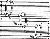 An illustration from The principles of physics (1895)