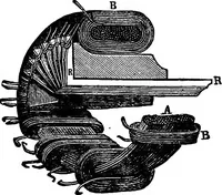 Picture 210 of 240 from The principles of physics (1895), leaf 585