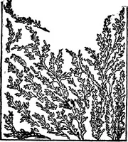 An illustration from The seven follies of science; to which is added a small budget of interesting paradoxes, illusions, marvels, and popular fallacies. A popular account of the most famous scientific impossibilities and the attempts which have been made to solve them. With numerous illustrations (1912)