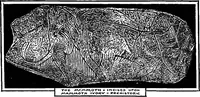 Picture 2 of 19 from Art and the formation of taste; (1882), leaf 22