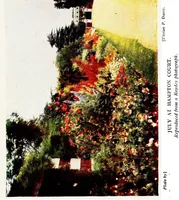 An illustration from Photography in colours (1919)