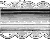 An illustration from Practical pattern making (1906)