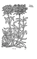 Picture 2 of 18 from Embroidery and tapestry weaving; a practical textbook of design and workmanship (1906), leaf 74