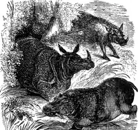 An illustration from A manual of instruction in the art of wood engraving. With a description of the necessary tools and apparatus, and concise directions for their use; explanation of the terms used, and the methods employed for producing the various classes of wood engravings (1867)