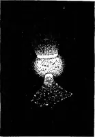 An illustration from The outlines of physics: an elementary text-book (1897)