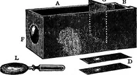 Picture 146 of 147 from Elementary physics (1889), leaf 248