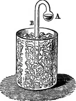 Picture 17 of 147 from Elementary physics (1889), leaf 48