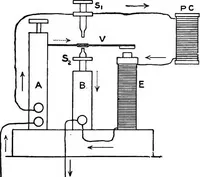 Picture 22 of 31 from A text-book of physics : with sections on the application of physics to physiology and medicine (1902), leaf 256