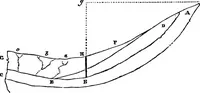 An illustration from The principles of hydrostatics; an elementary treatise on the laws of fluids, and their practical applications (1856)