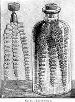 Picture 71 of 386 from Scientific amusements (1890), leaf 117