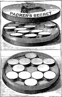 Picture 77 of 386 from Scientific amusements (1890), leaf 127