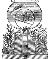 Picture 80 of 386 from Scientific amusements (1890), leaf 130