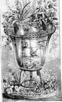 Picture 81 of 386 from Scientific amusements (1890), leaf 131