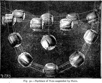 Picture 82 of 386 from Scientific amusements (1890), leaf 132