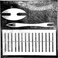 Picture 88 of 386 from Scientific amusements (1890), leaf 143