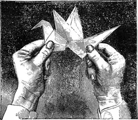 Picture 91 of 386 from Scientific amusements (1890), leaf 147