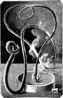 Picture 109 of 386 from Scientific amusements (1890), leaf 181