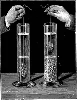 An illustration from Scientific amusements (1890)