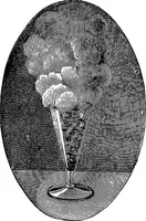 Picture 116 of 386 from Scientific amusements (1890), leaf 192