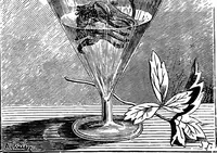 Picture 121 of 386 from Scientific amusements (1890), leaf 201