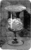 Picture 124 of 386 from Scientific amusements (1890), leaf 211