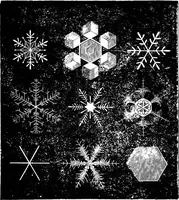An illustration from Scientific amusements (1890)