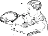 Picture 152 of 386 from Scientific amusements (1890), leaf 254
