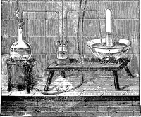Picture 158 of 386 from Scientific amusements (1890), leaf 260