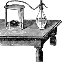 Picture 170 of 386 from Scientific amusements (1890), leaf 271